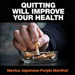 mevius japanese purple menthol at Best Smokes Online